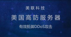 適用美國高防服務器的網站類型